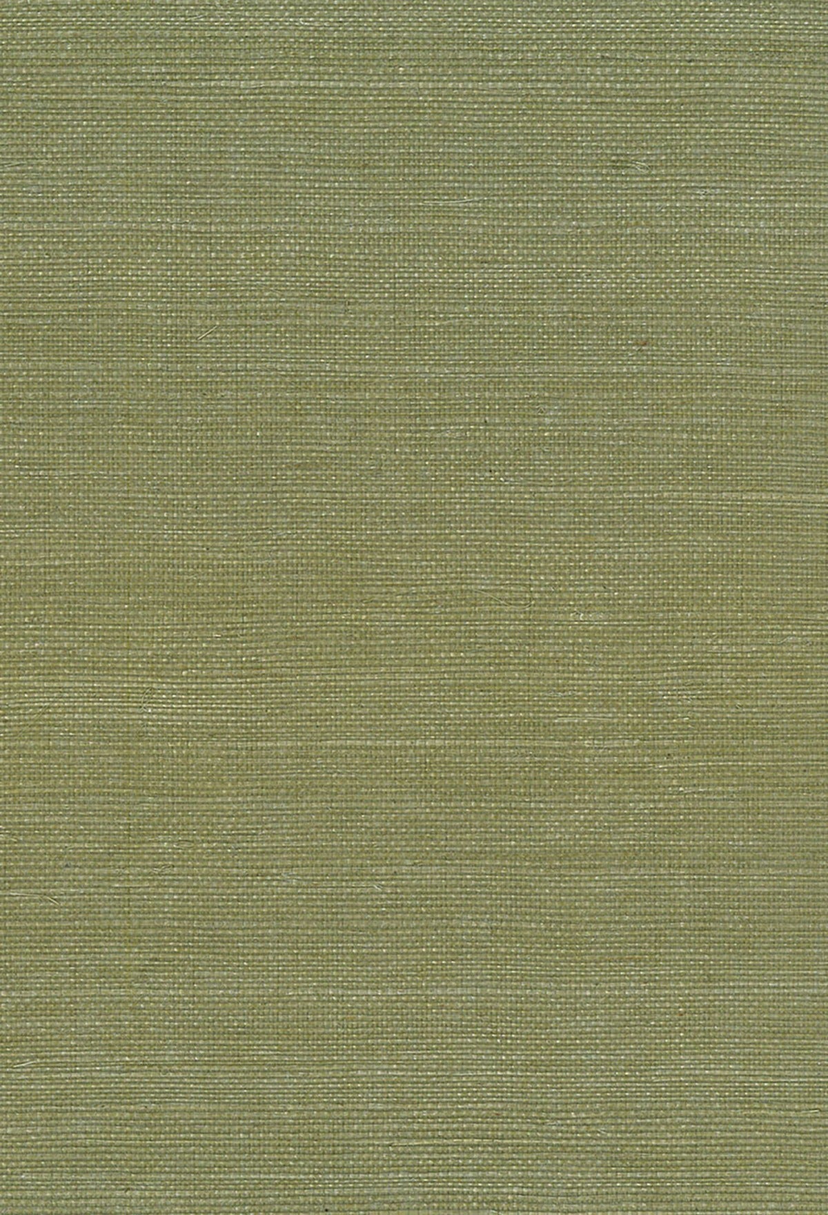 Green Sisal Grasscloth Unpasted Wallpaper