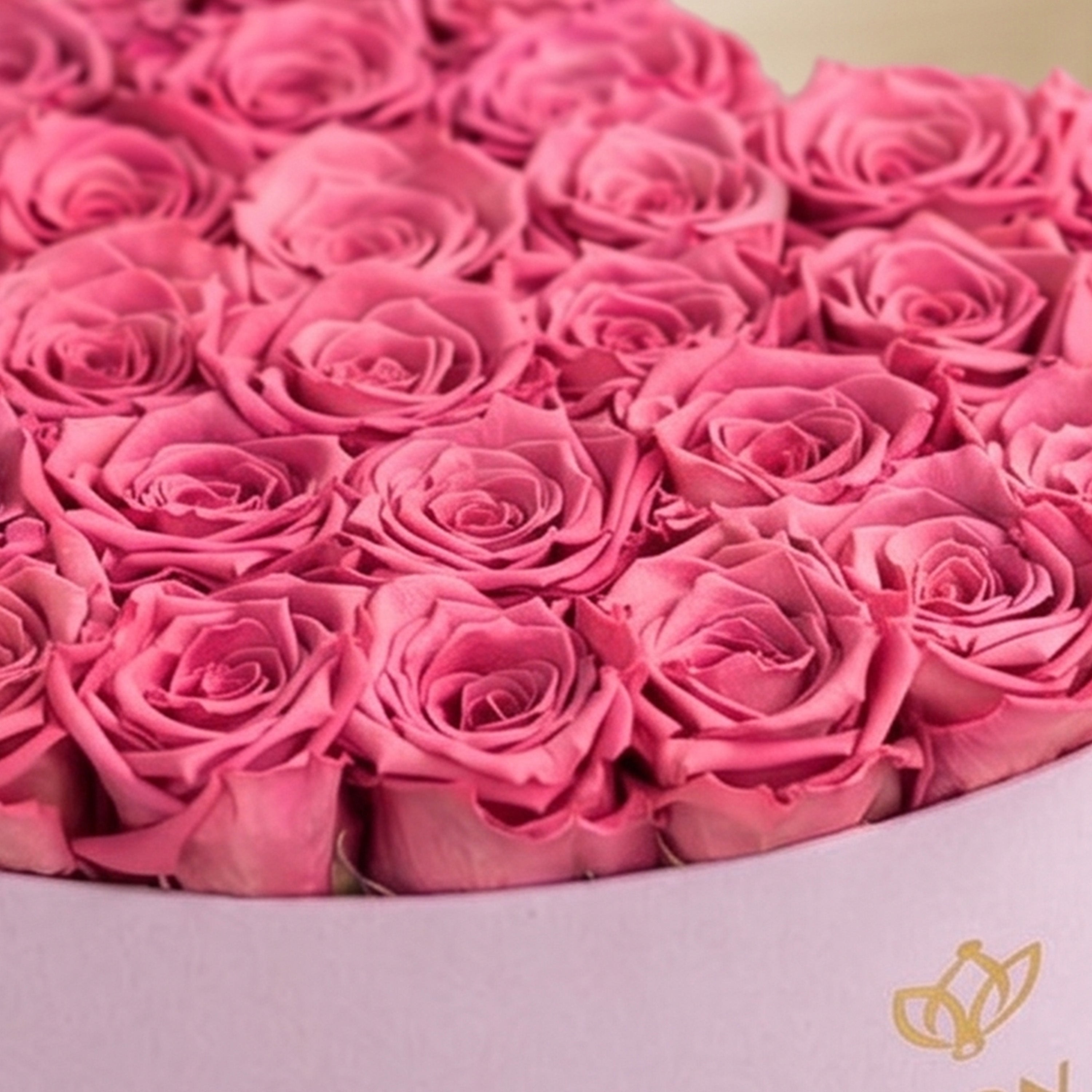 Heart Light Pink Suede Box | Orchid Roses