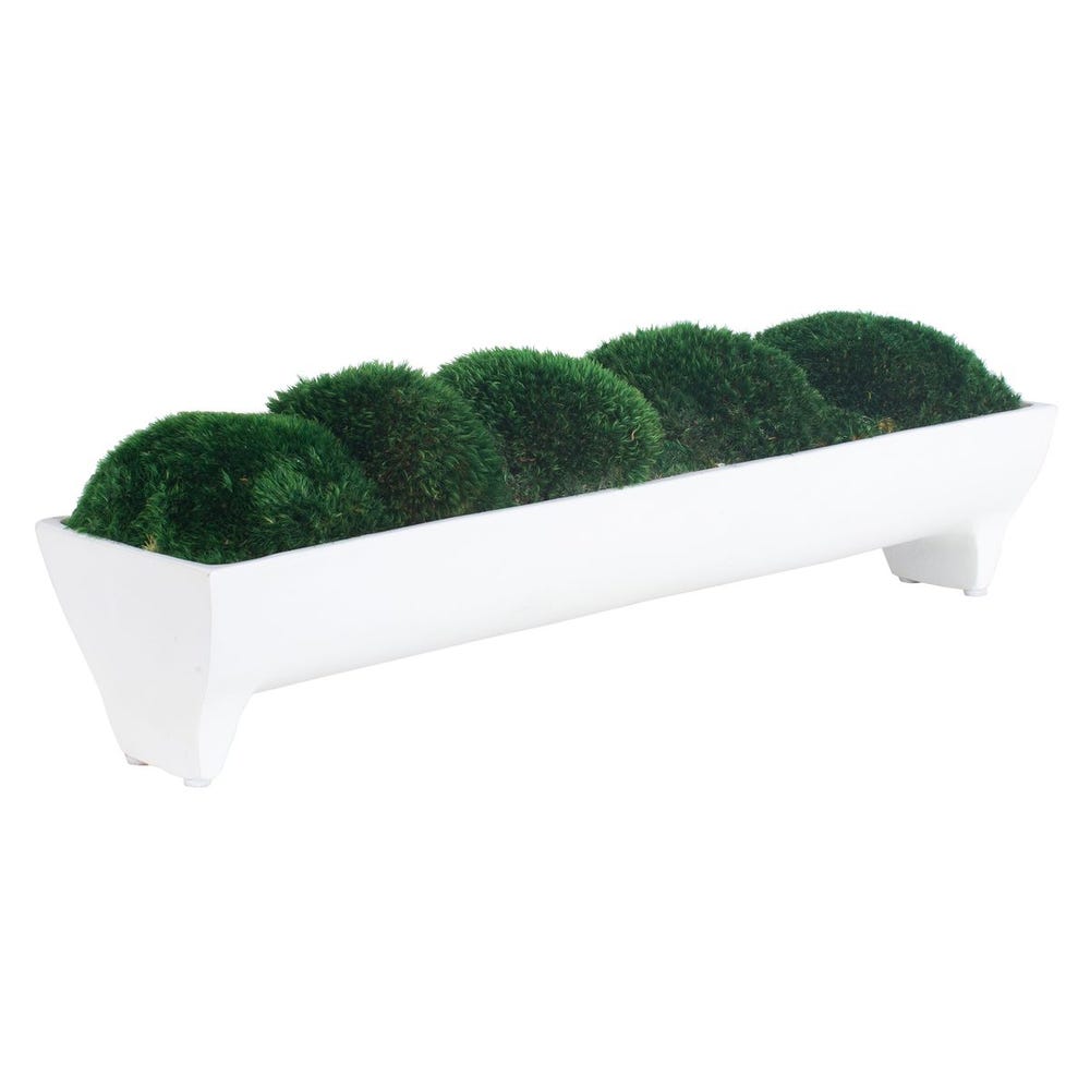 Verdant Moss Centerpiece in White