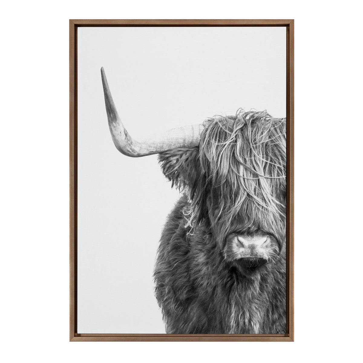 Sylvie B&W Highland Cow No. 1 Framed Canvas by Amy Peterson Art Studio