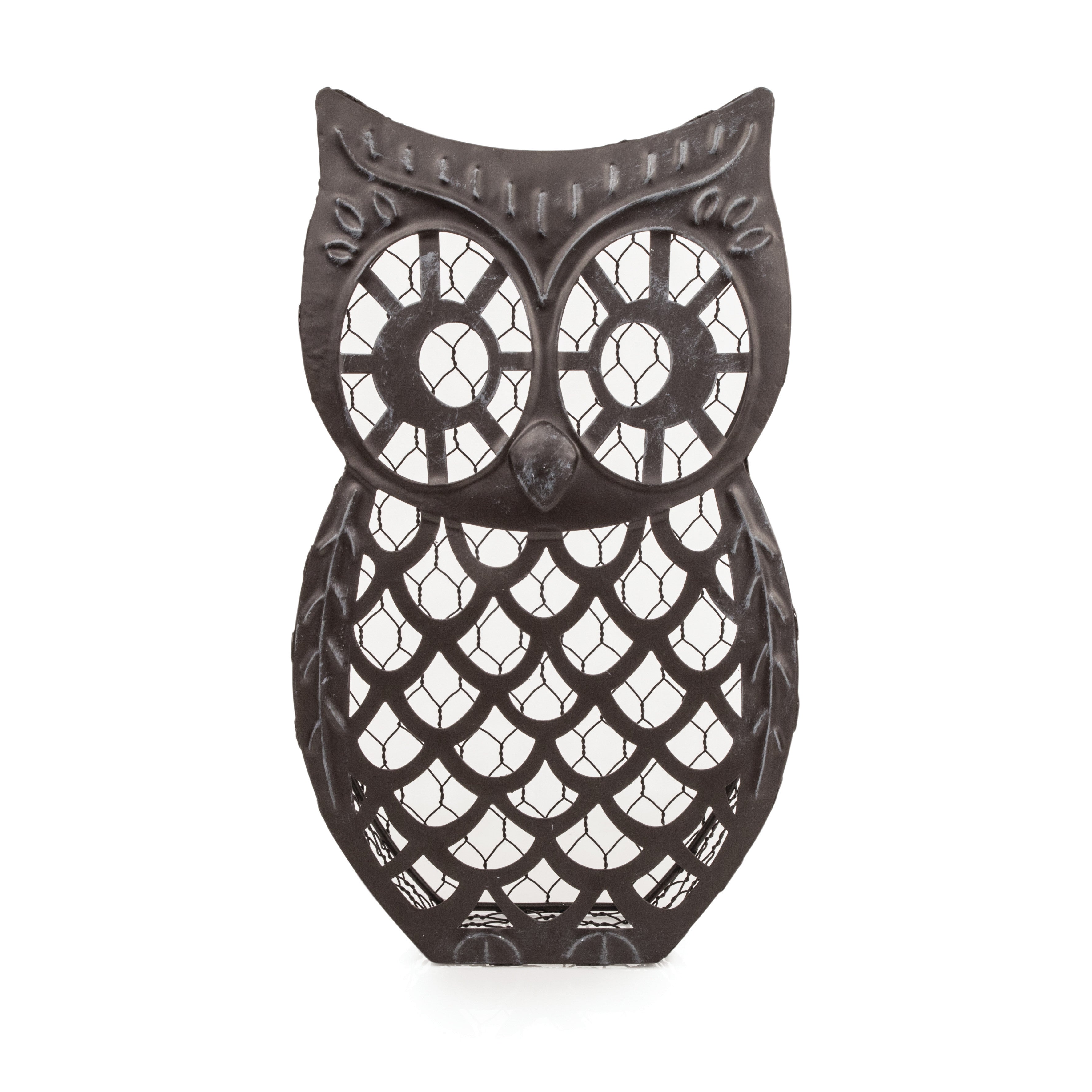 Wise Owl Cork Collector