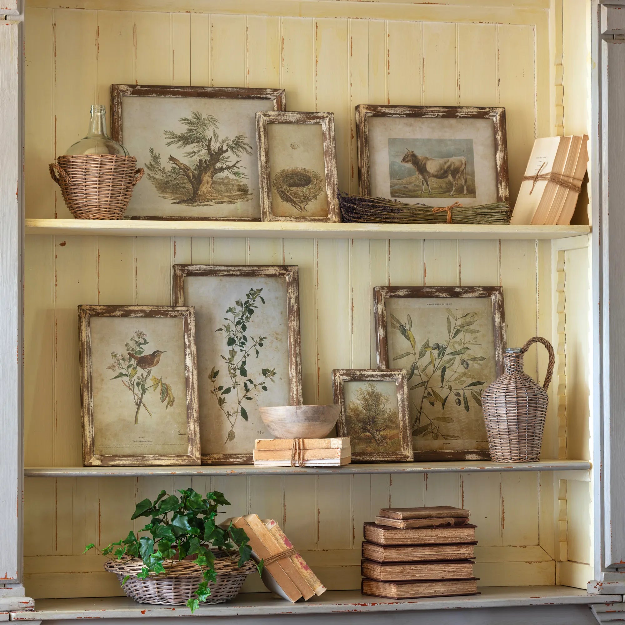 Old Olive Farm Print Collection, Set of 7