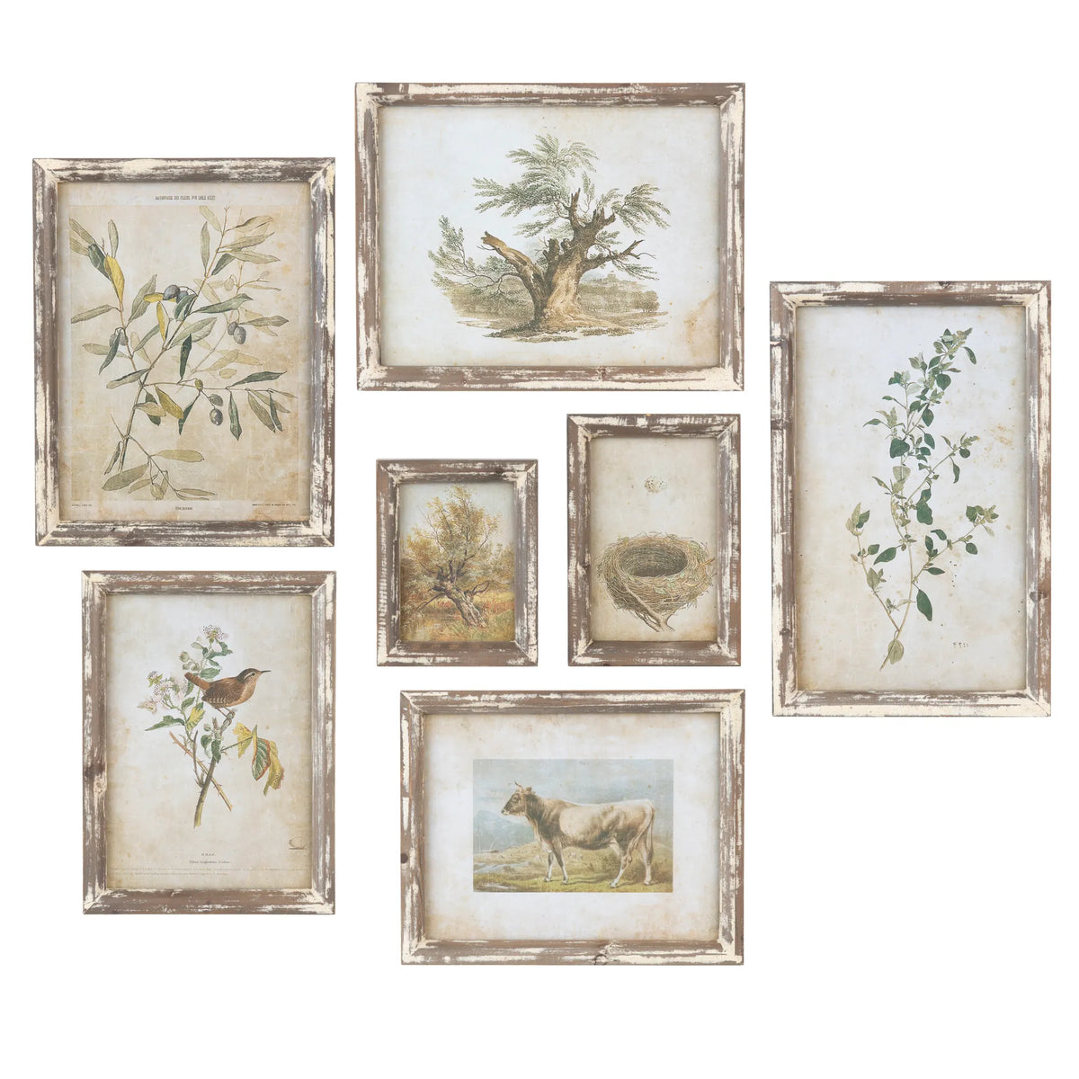 Old Olive Farm Print Collection, Set of 7
