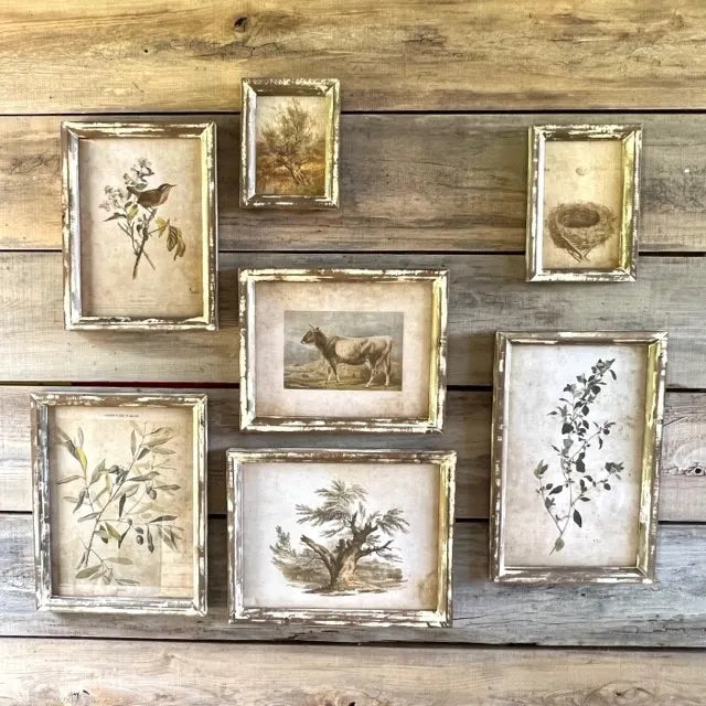Old Olive Farm Print Collection, Set of 7