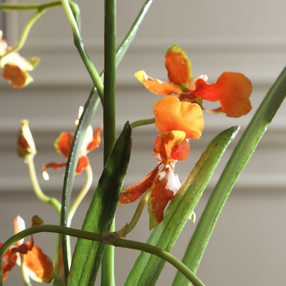 Solenne Orange Orchid Glass Arrangement