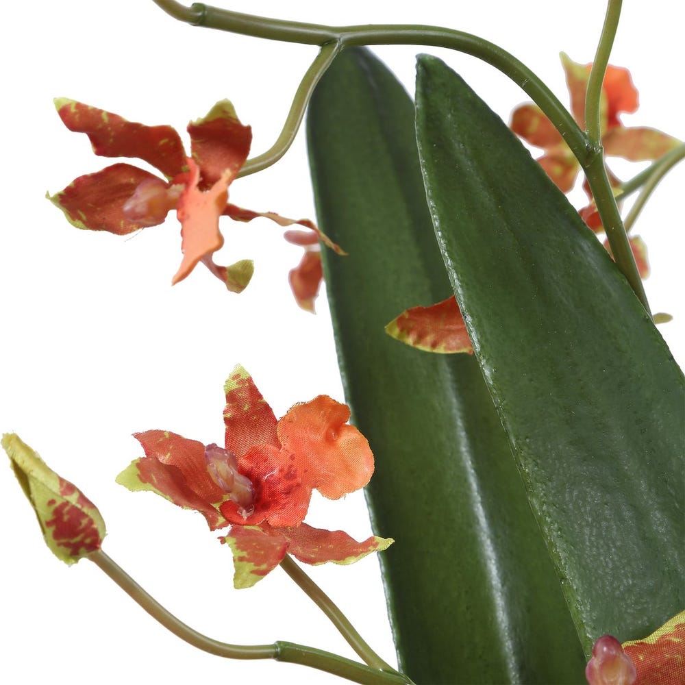 Solenne Orange Orchid Glass Arrangement