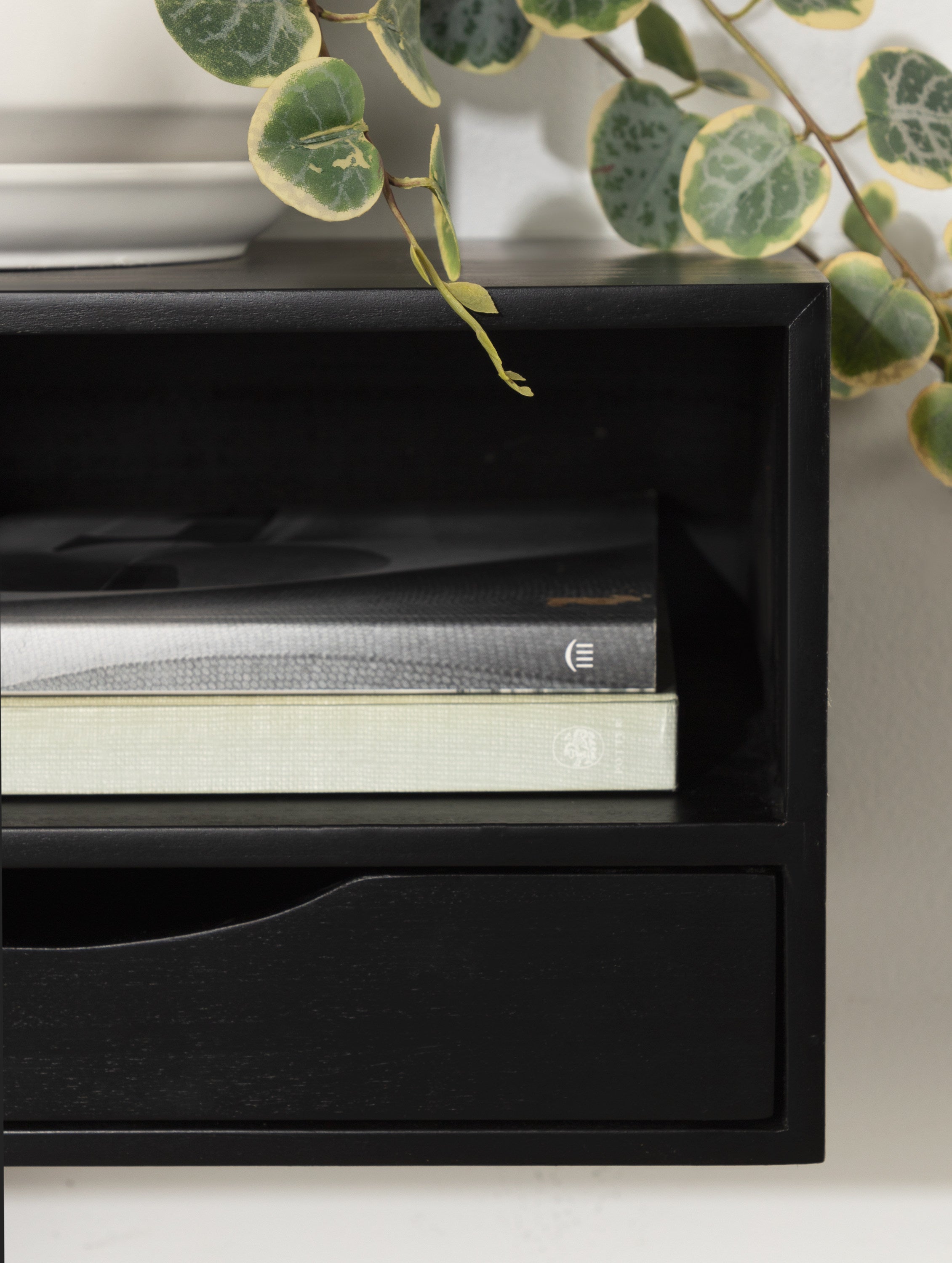 Hutton Floating Wall Shelf with Drawer
