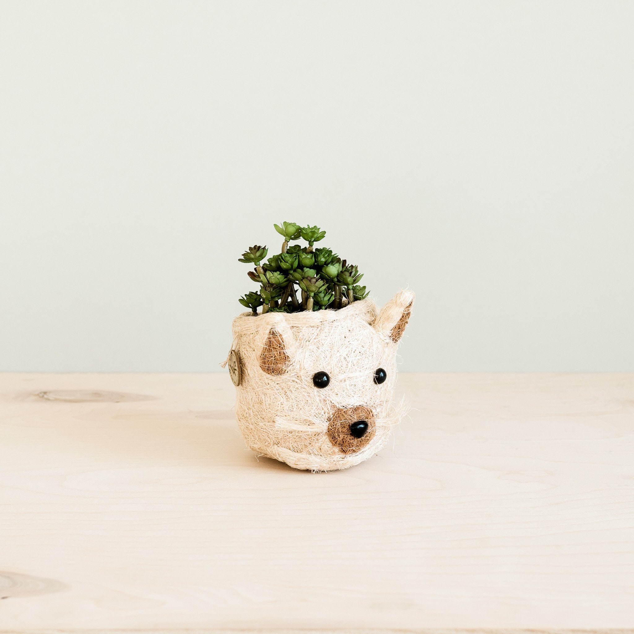 Cat Succulent Planter - Animal Head Planters | LIKHÂ