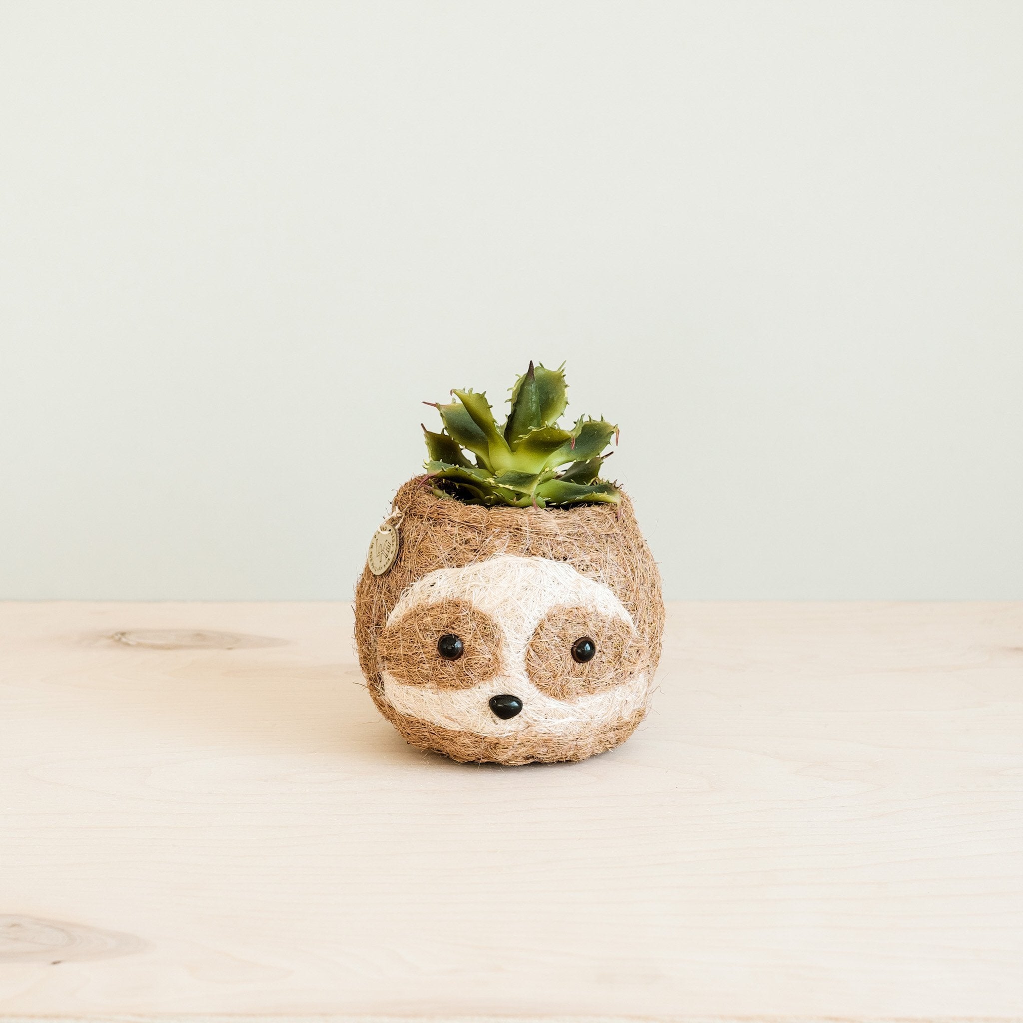 Two-tone Sloth Coco Coir Planter - Handmade Planters | LIKHÂ