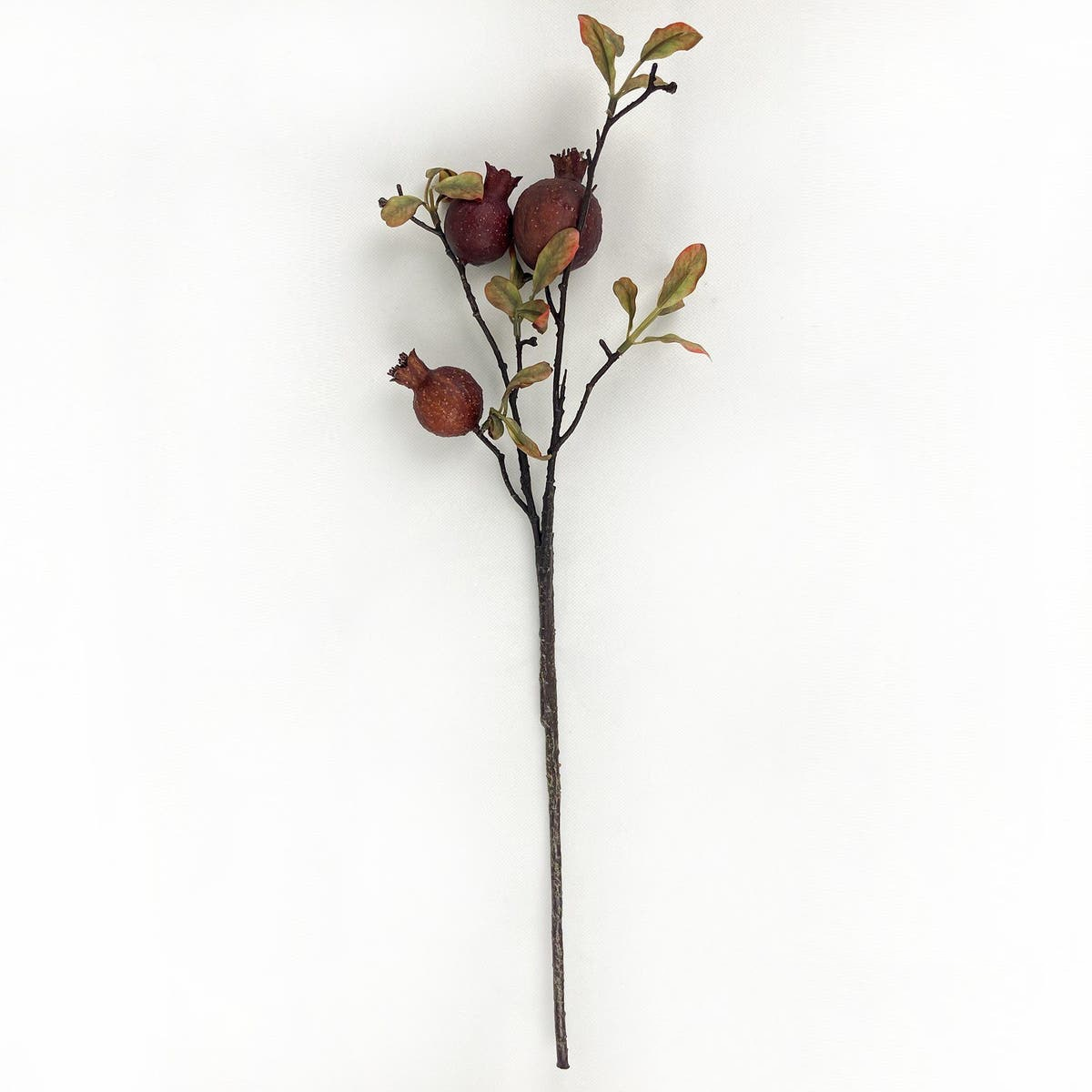 Burnished Pomegranate Branch Garnet (Set of 12)