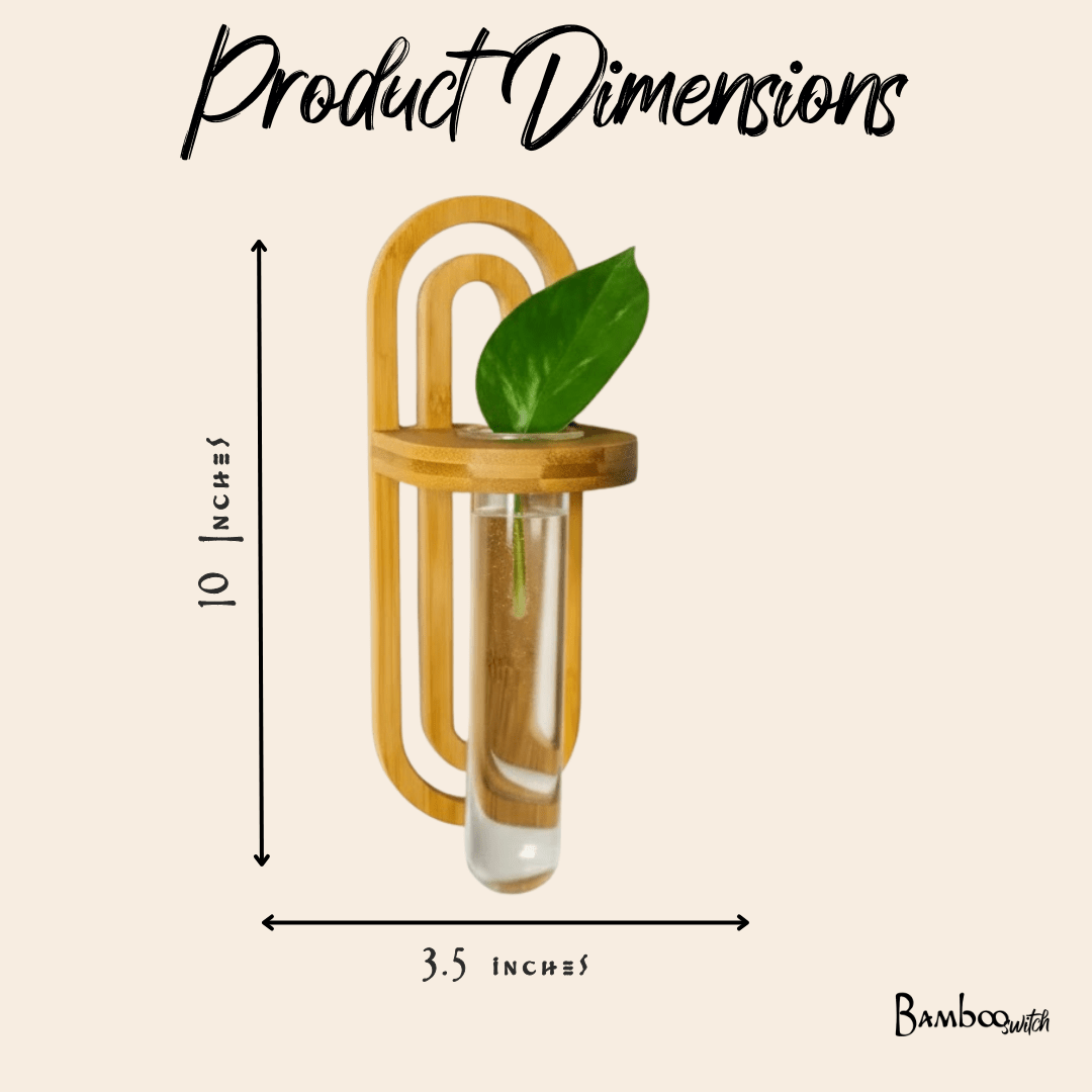 Propagation Planter | Wall Vase