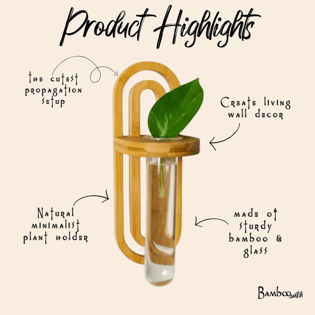 Propagation Planter | Wall Vase
