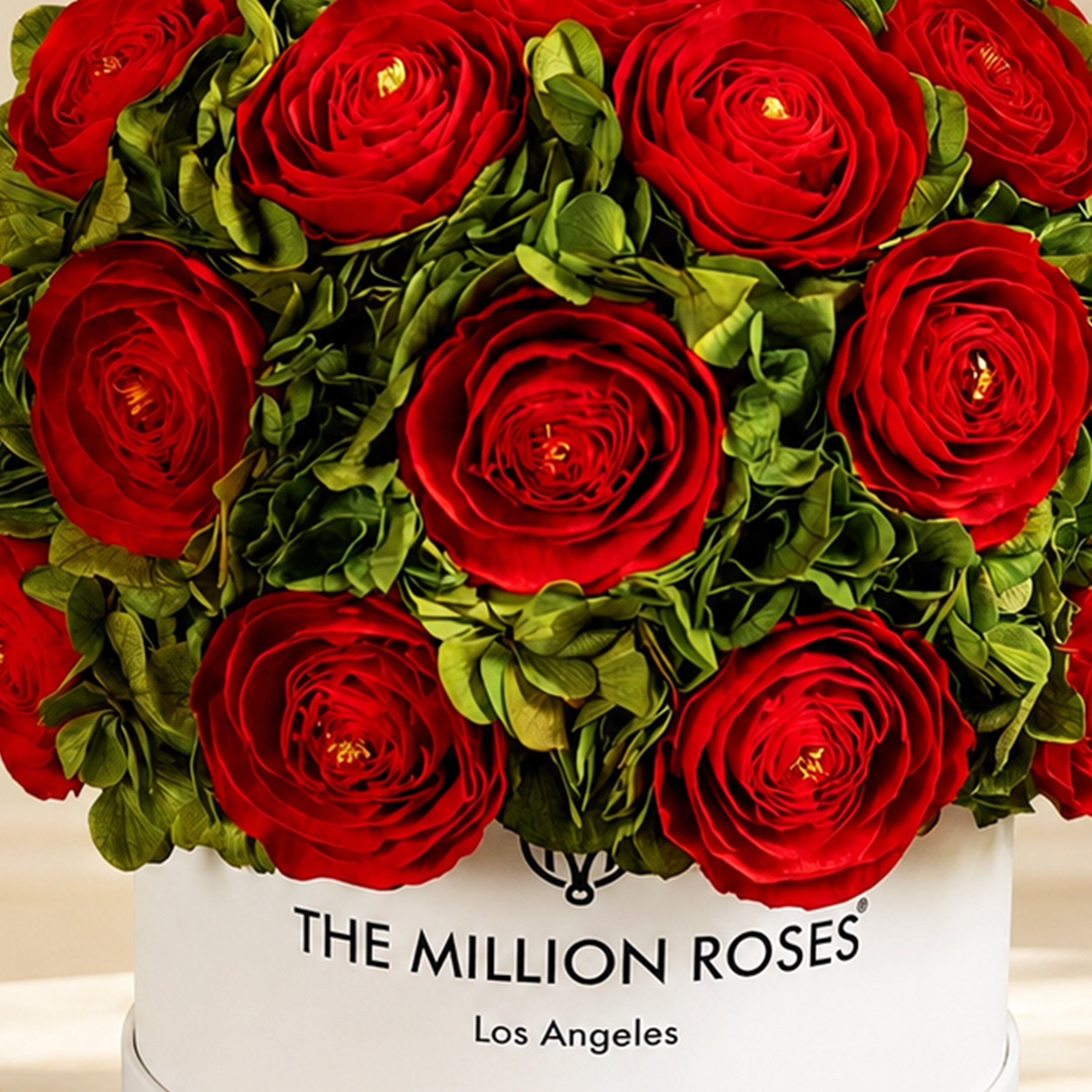 Classic White Box | Red Persian Buttercups & Green Hydrangeas