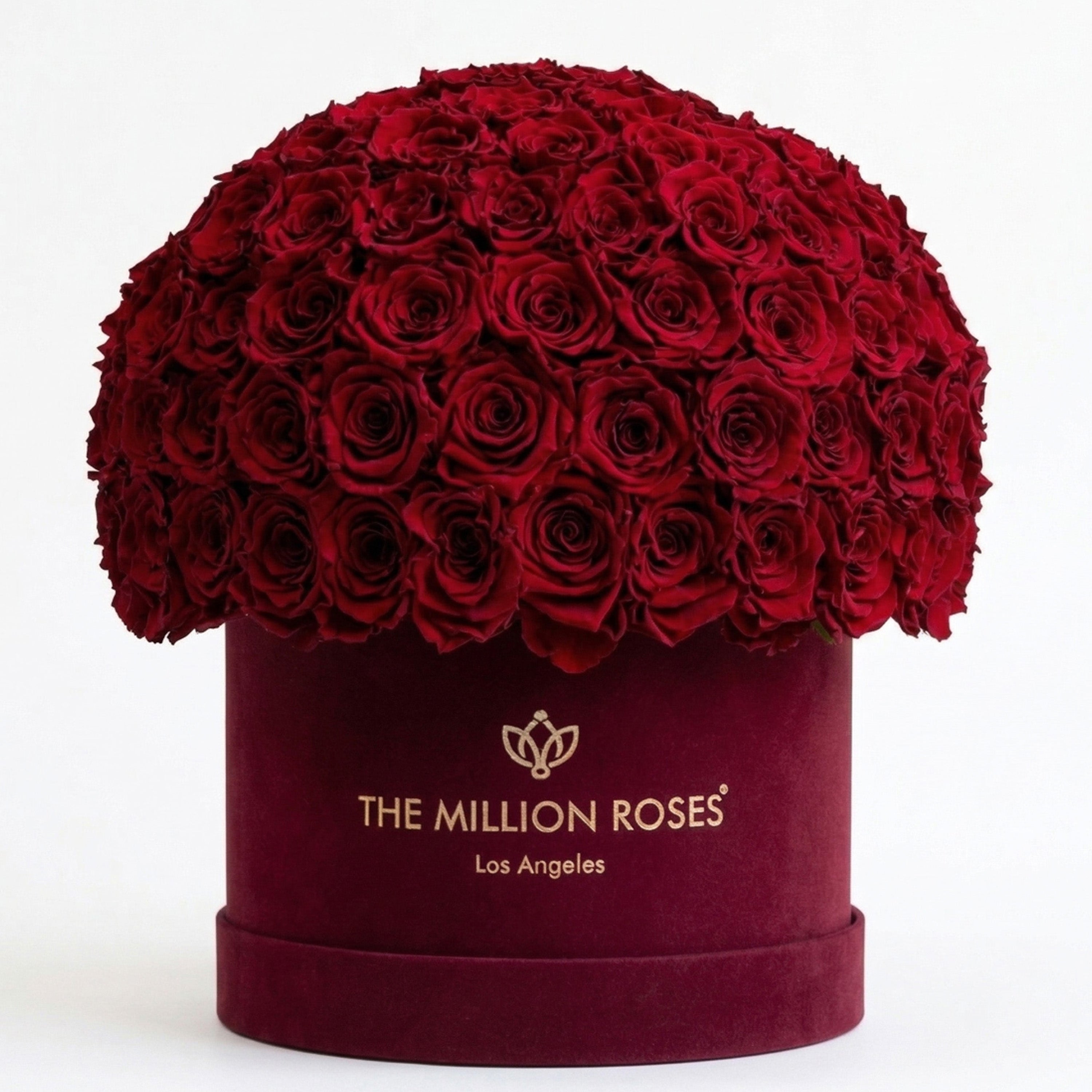 Supreme Bordeaux Suede Superdome Box | Burgundy Roses