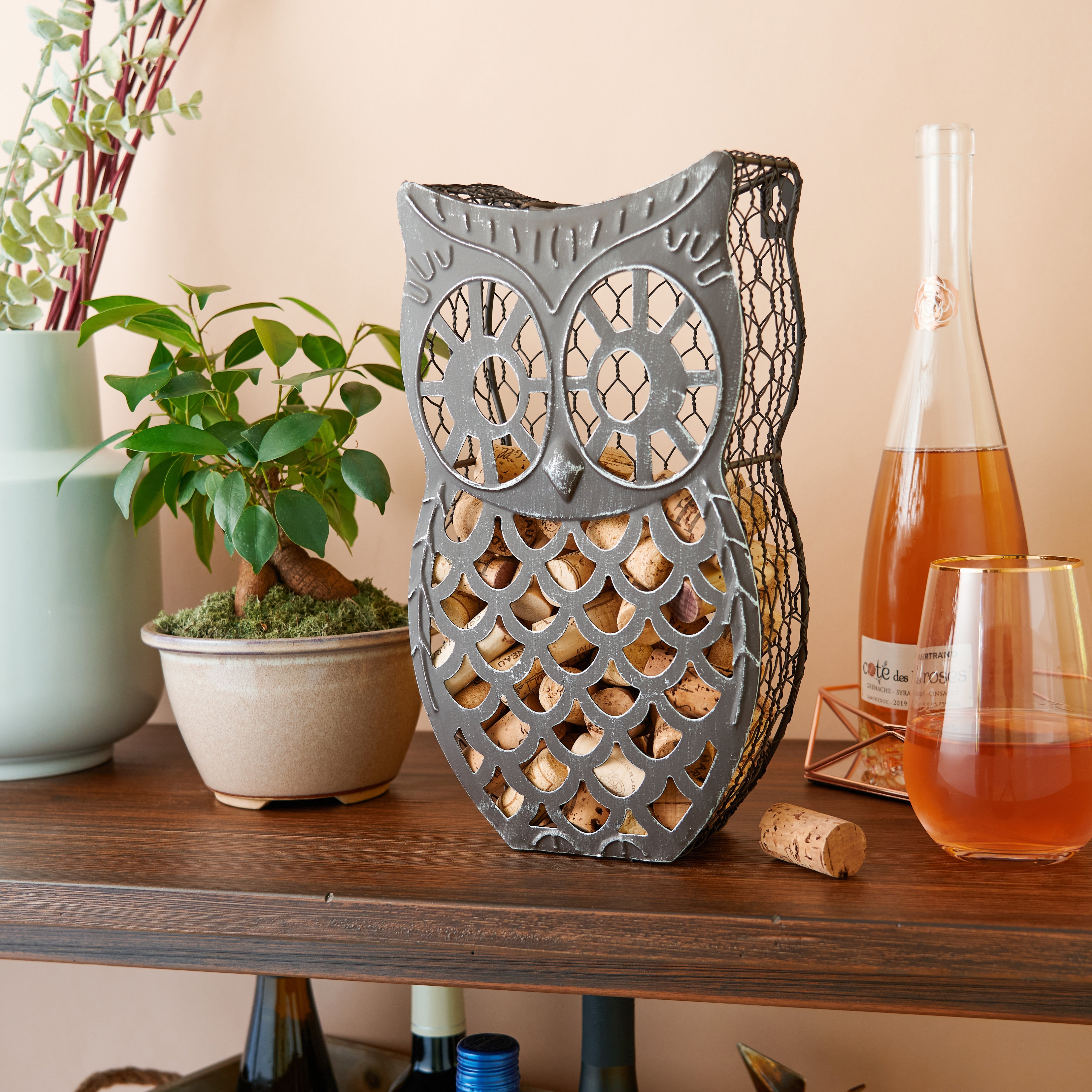 Wise Owl Cork Collector
