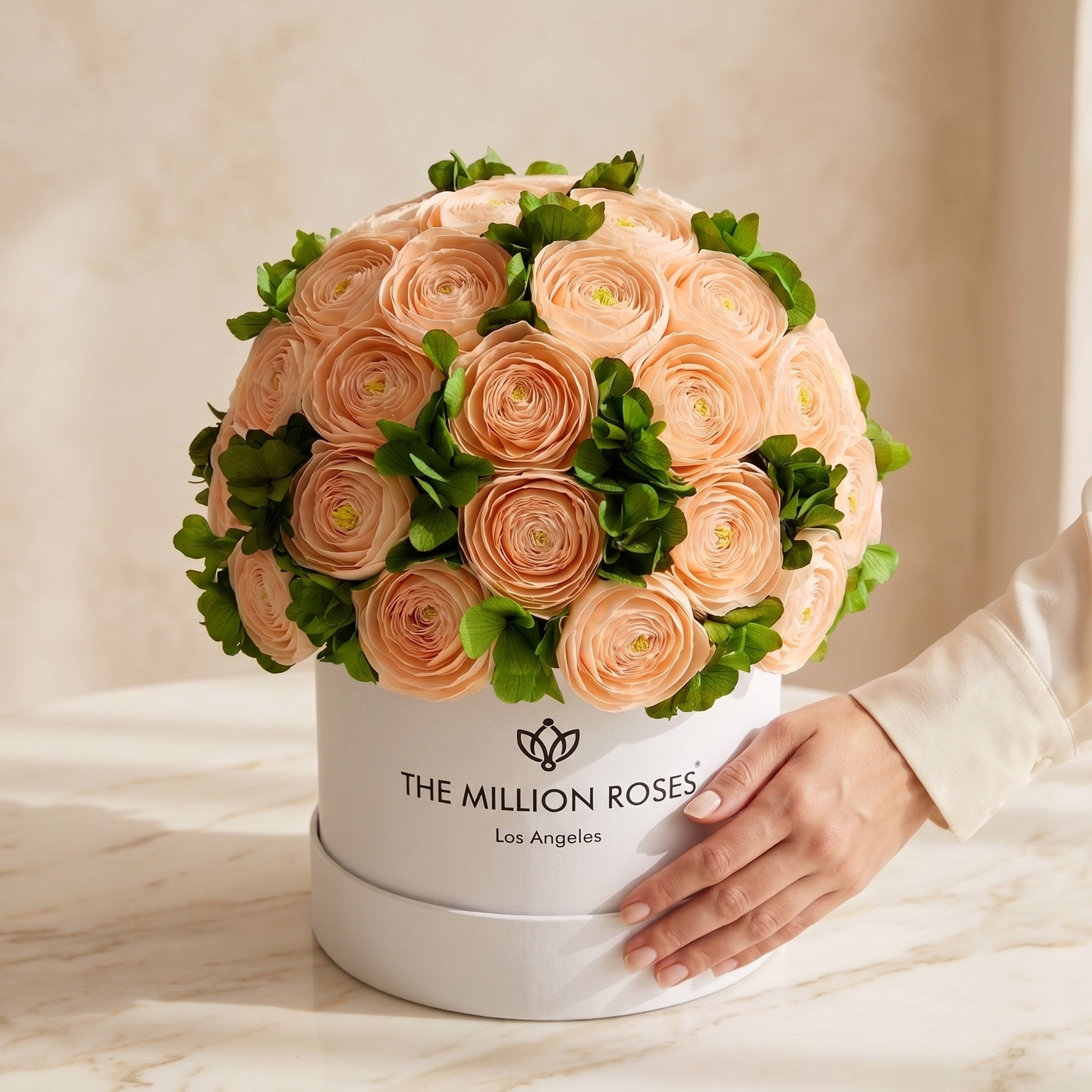 Classic White Box | Peach Persian Buttercups & Green Hydrangeas