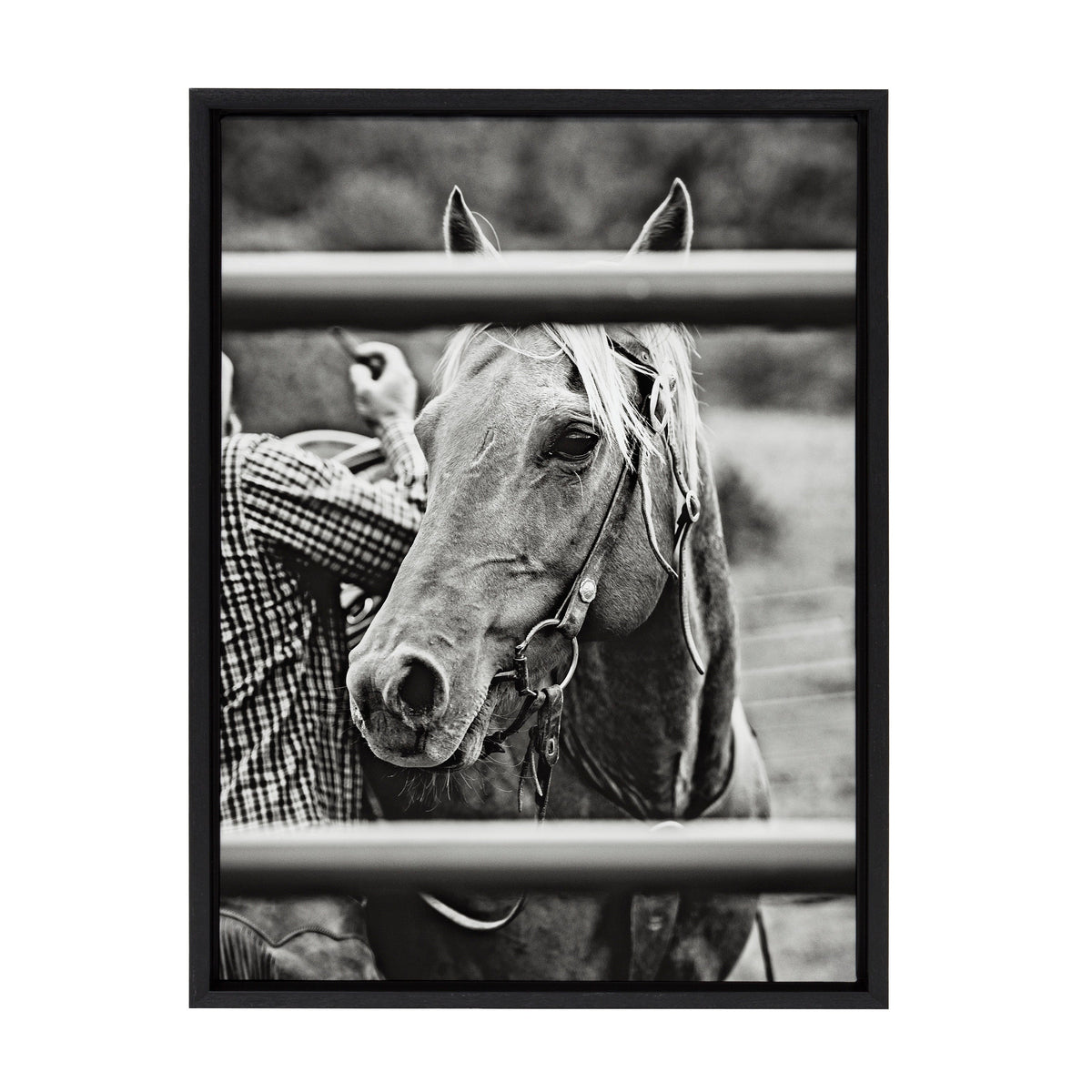 Sylvie Photo Saddling Horse Framed Canvas by The Whiskey Ginger