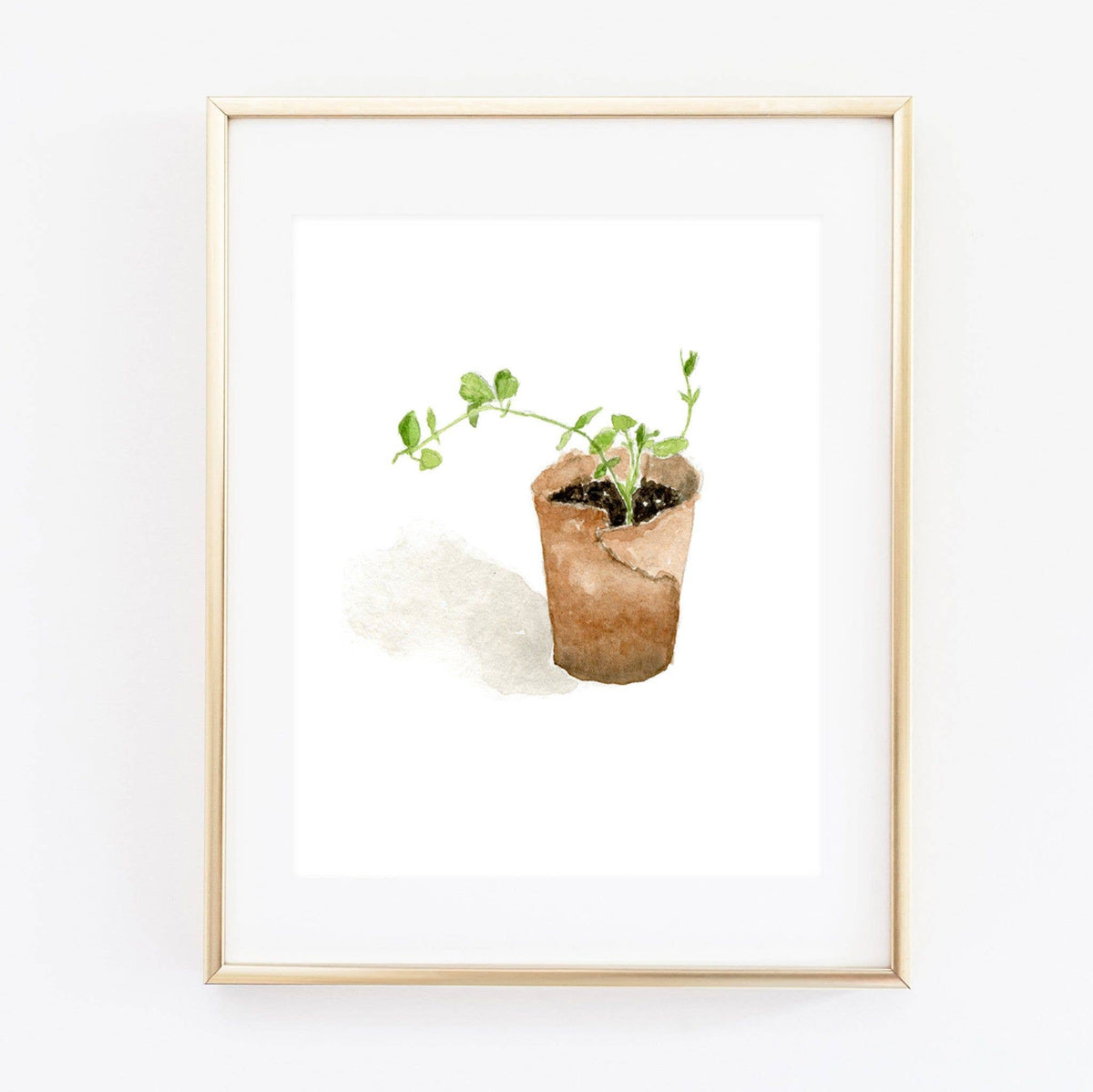 Sweet Pea Art Print