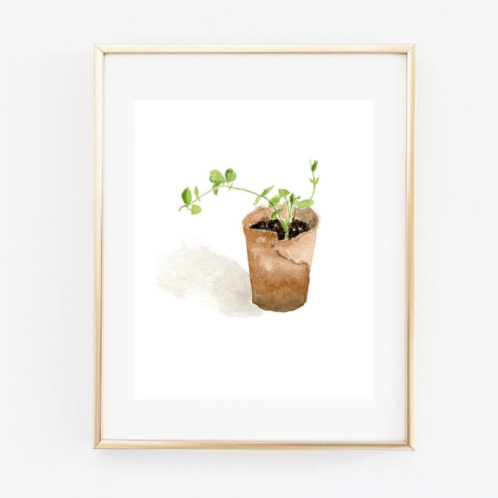 Sweet Pea Art Print