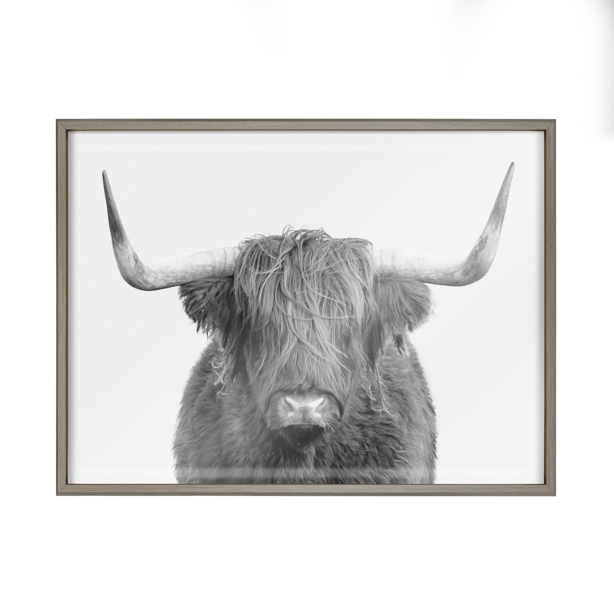 Blake Highland Cow Portrait Framed Printed Art by Amy Peterson Art Studio