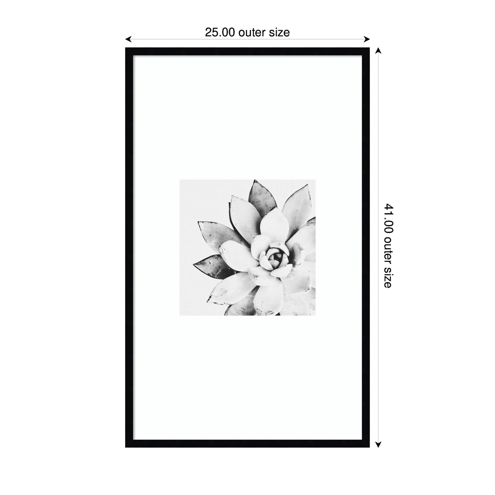 Modern Succulent by Tai Prints Framed Wall Art Print