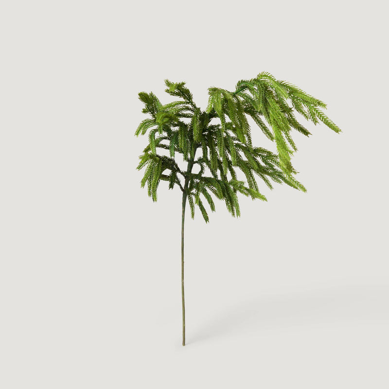 Afloral Real Touch Norfolk Pine Branch - 36"