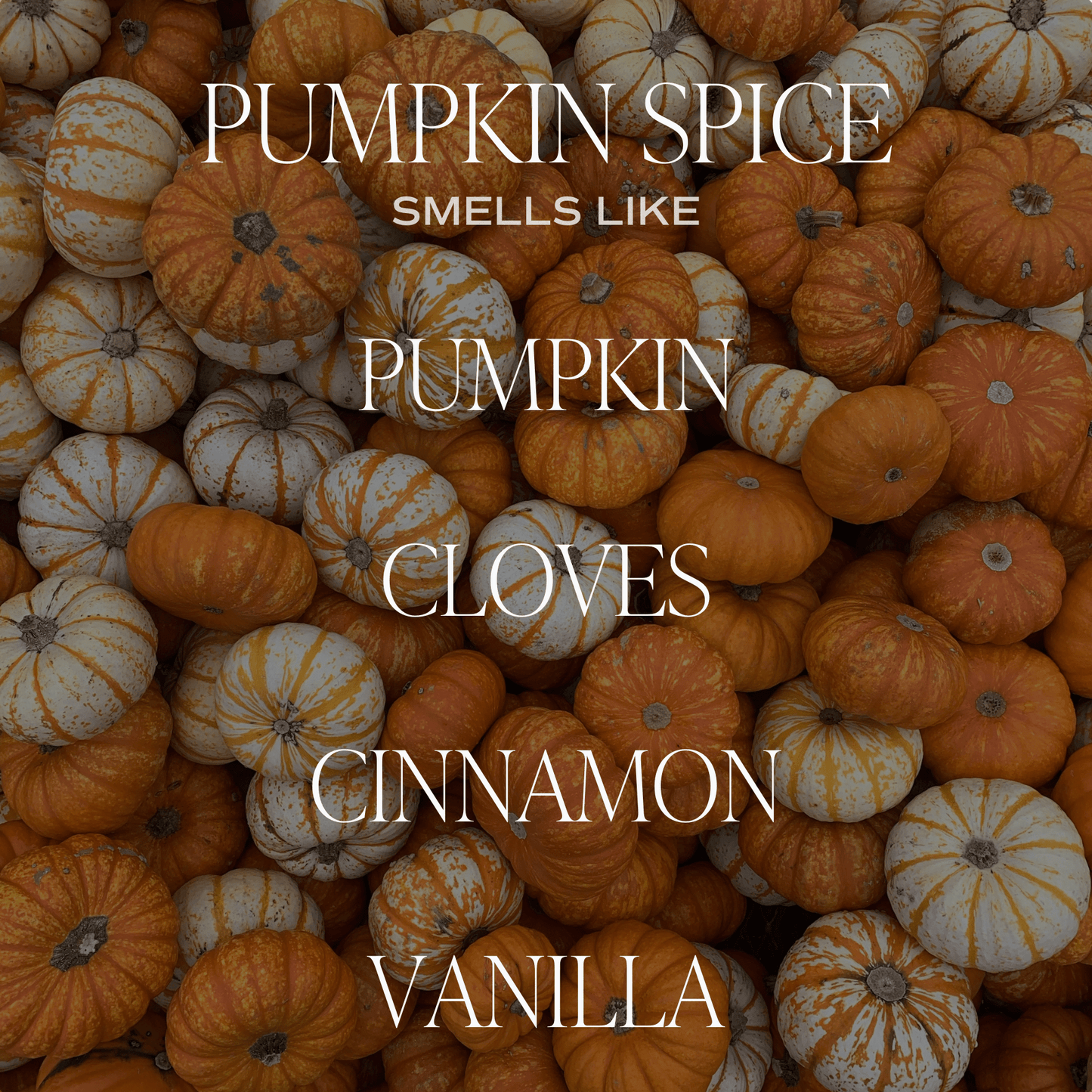 *NEW* Pumpkin Spice Reed Diffuser