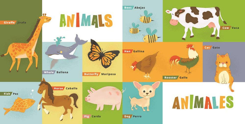 First 100 Words in English and Spanish : Lil' Libros