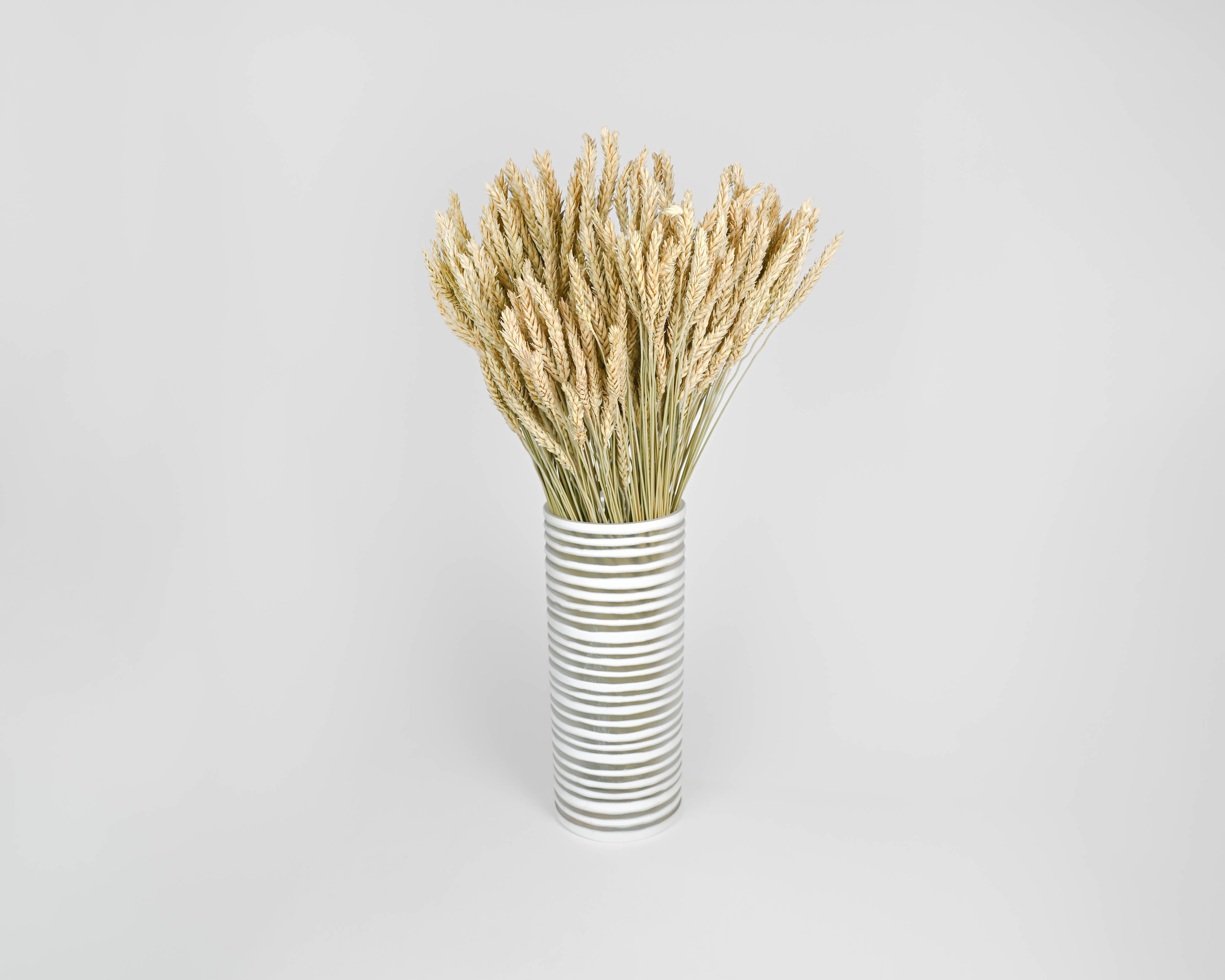 Beardless Wheat Bundle | 20 Bunches | Natural
