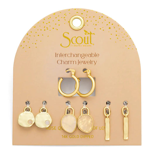 Interchangeable Charm Earrings