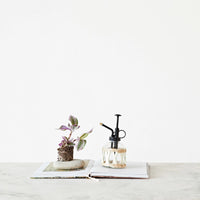 8 oz. Glass Plant Mister w/ Woven Sleeve