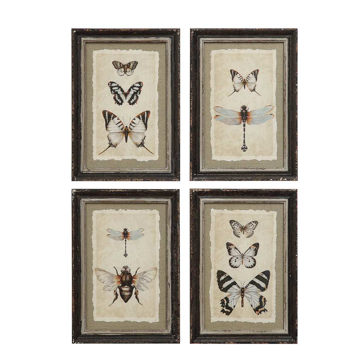 Framed Wall Decor with Insect Print