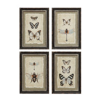 Framed Wall Decor with Insect Print
