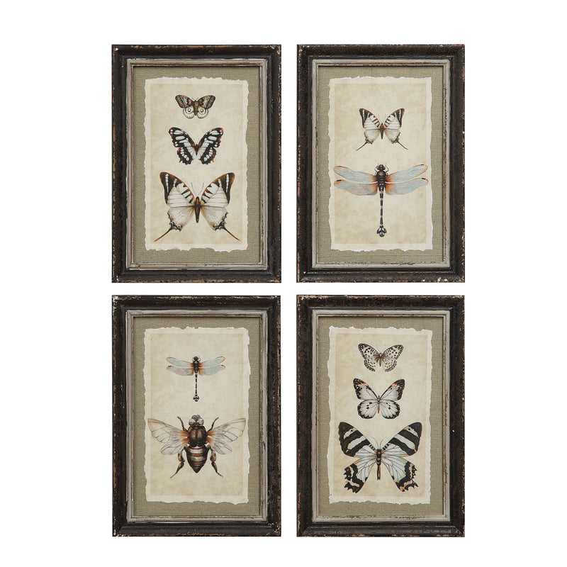 Framed Wall Decor with Insect Print