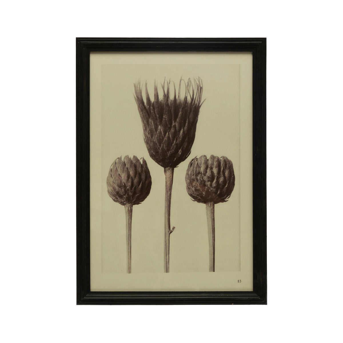 Wood Framed Glass Wall Décor w/ Artichokes