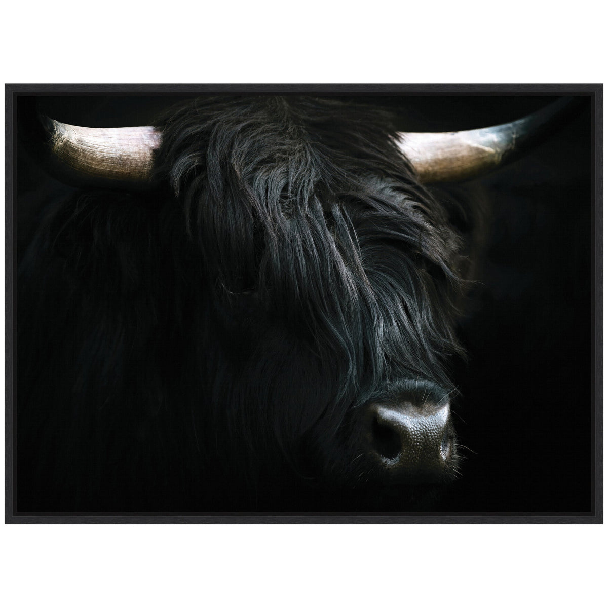 Sylvie Minimalist Black Highland Cow Framed Canvas by Michael Schauer