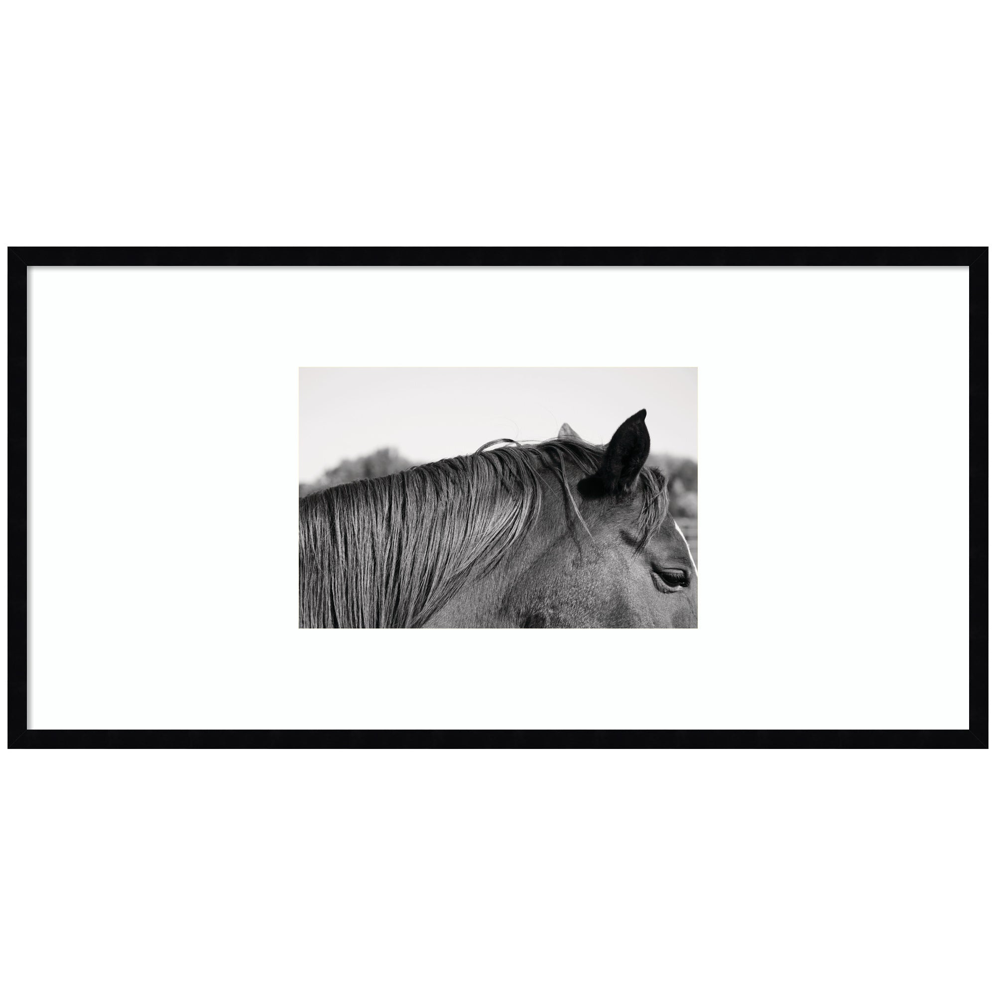 Auburn by Alicia Bock Framed Wall Art Print