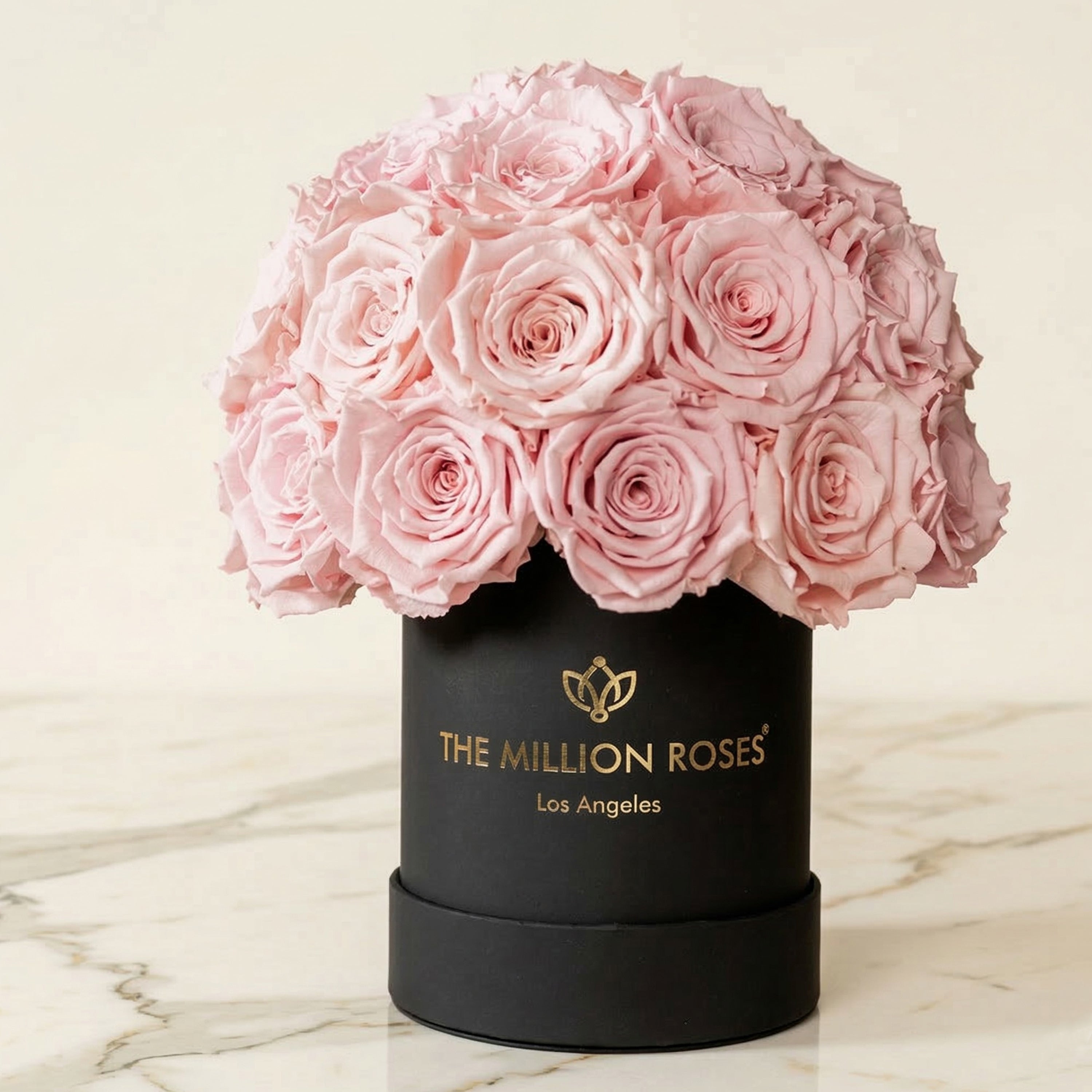 Essence Black Superdome Box | Light Pink Roses