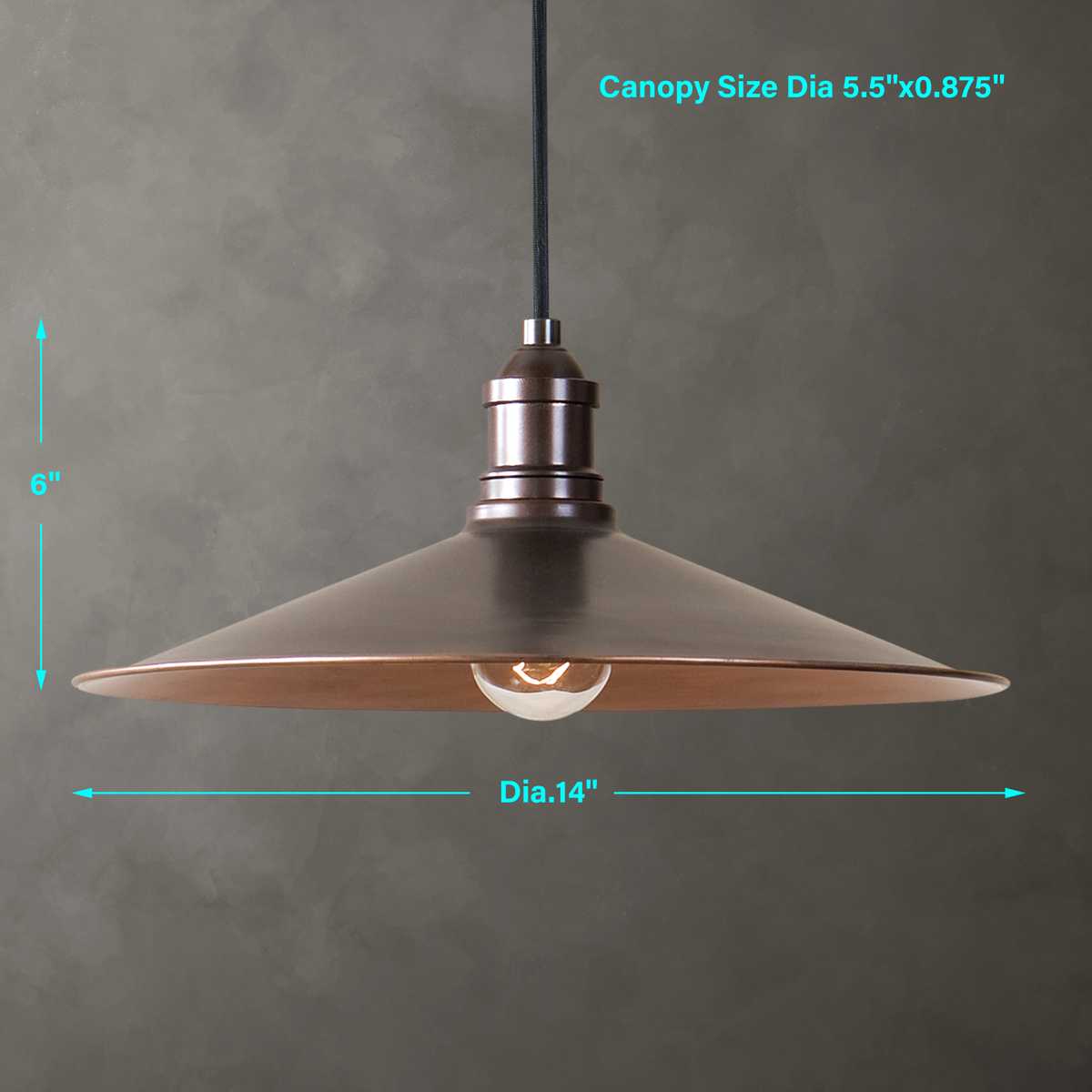 Barnstead 1-Light Pendant