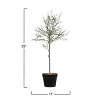 Faux Thyme Topiary in Pot