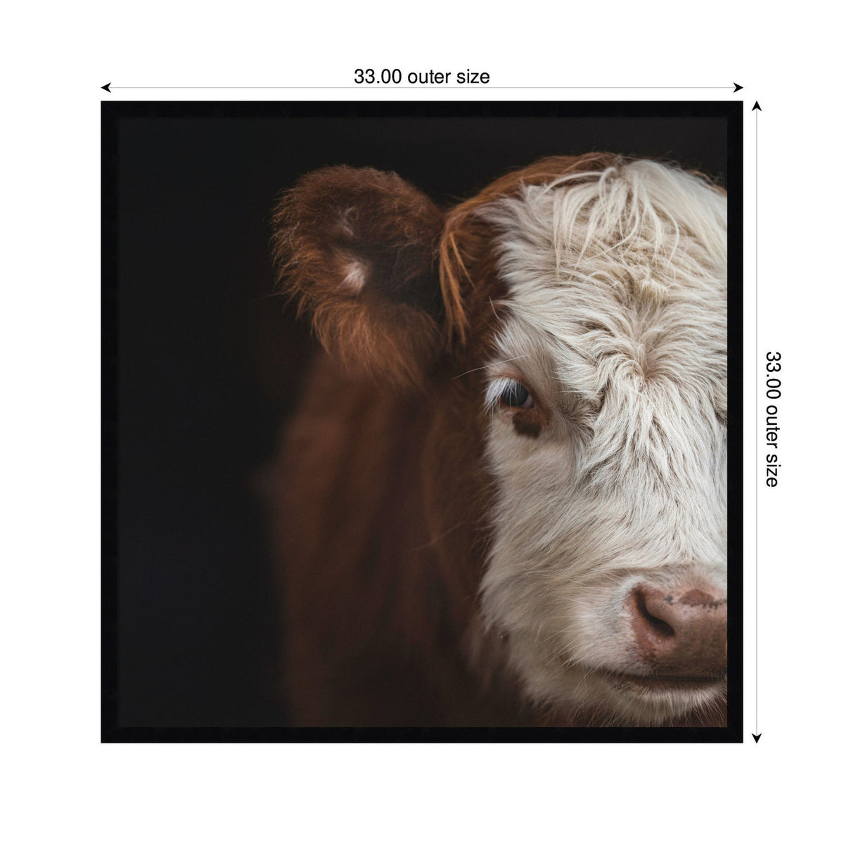 Cow Close by Emiko and Mark Franzen F2 Images Framed Wall Art Print