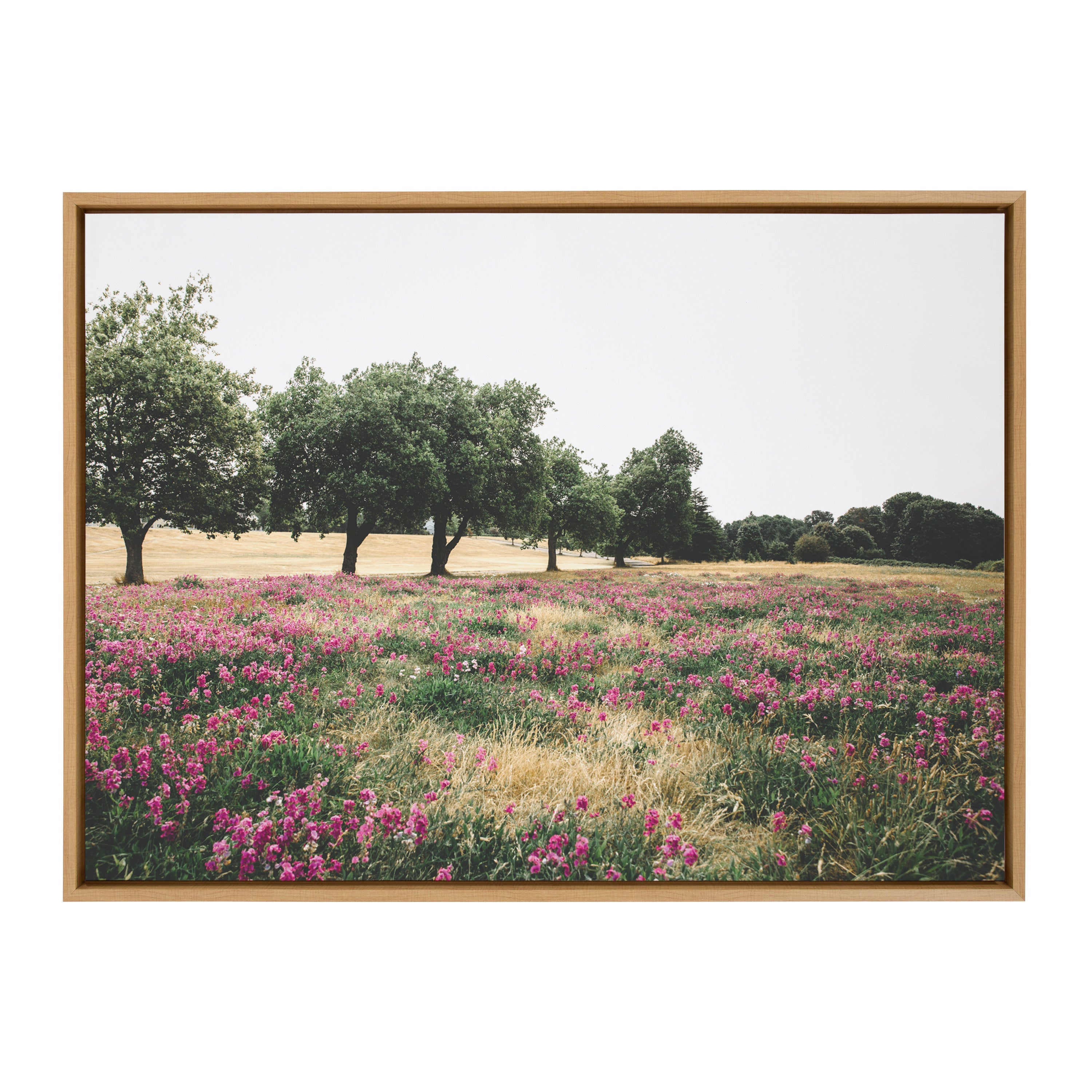 Sylvie Summer Lovin Framed Canvas by Patricia Hasz