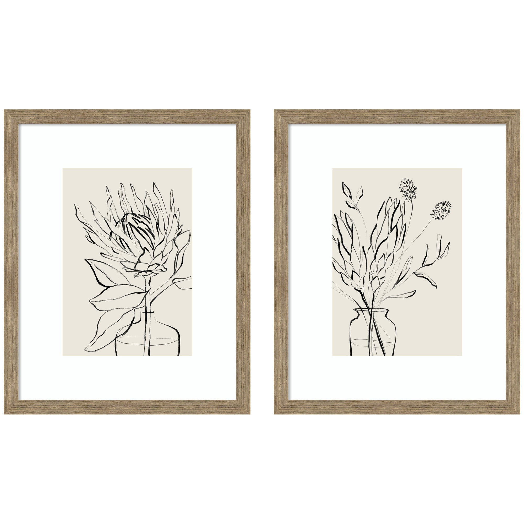 SB Protea Sketch No. 1 & No. 2 2 Piece Framed Wall Art Print Set by Sara Berrenson