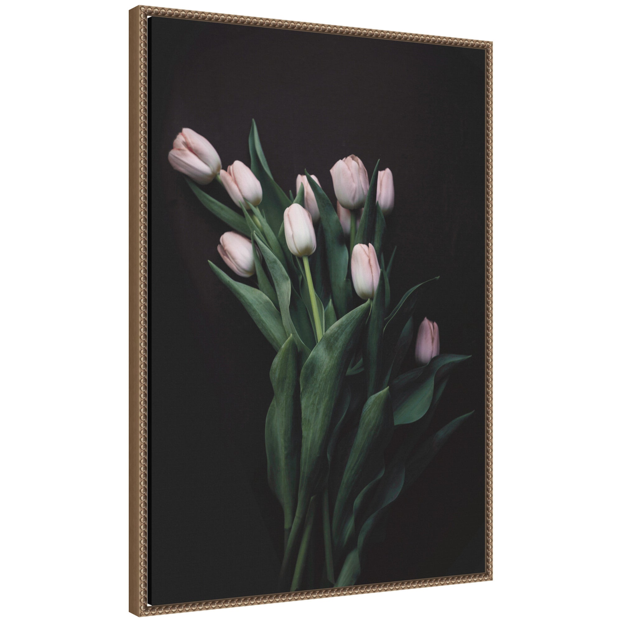 Blush Tulips by Emiko and Mark Franzen F2 Images Framed Canvas Wall Art Print
