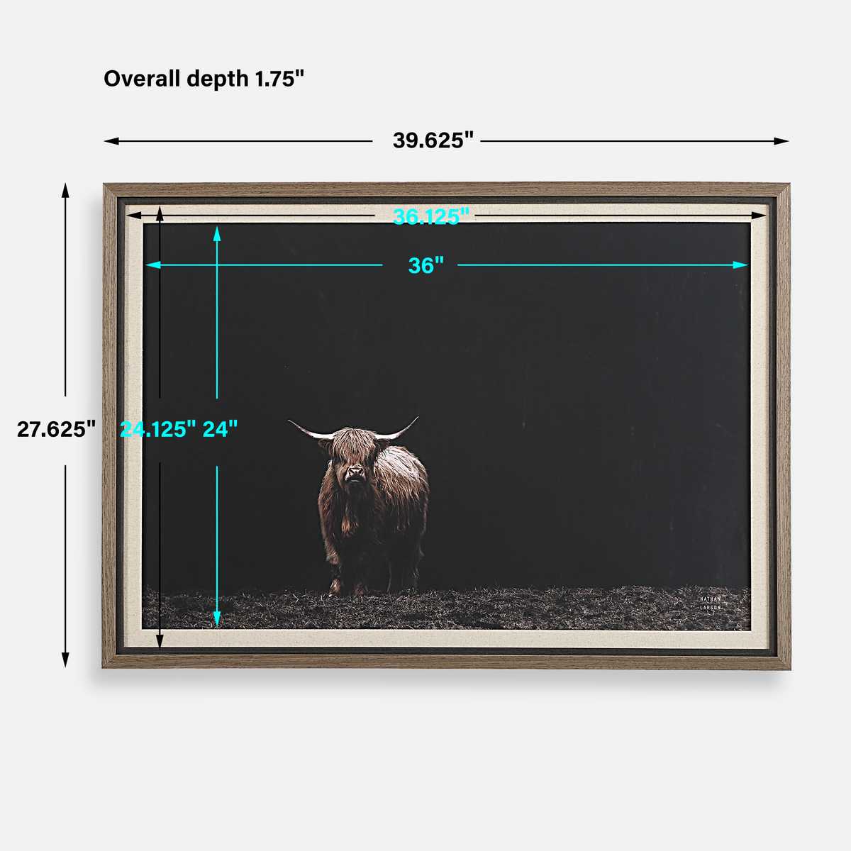 King of the Hill Framed Print