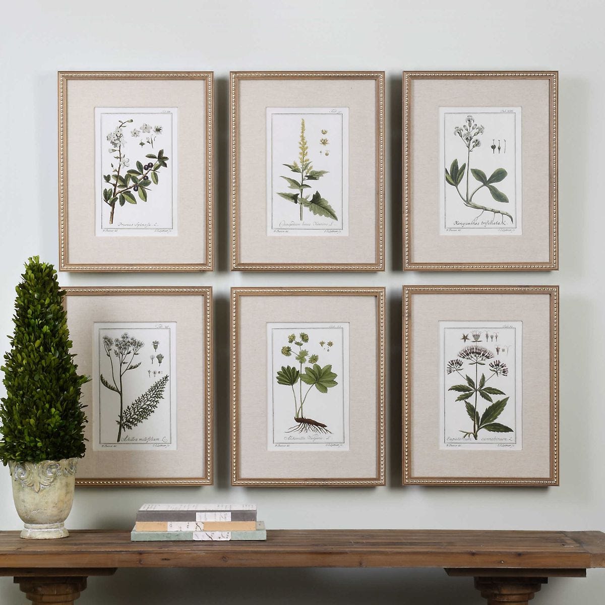 Green Floral Botanical Study Framed Prints - Set of 6
