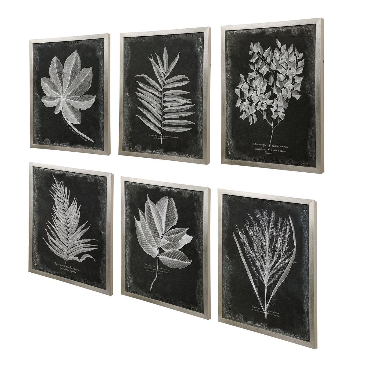 Foliage Framed Prints - Set of 6