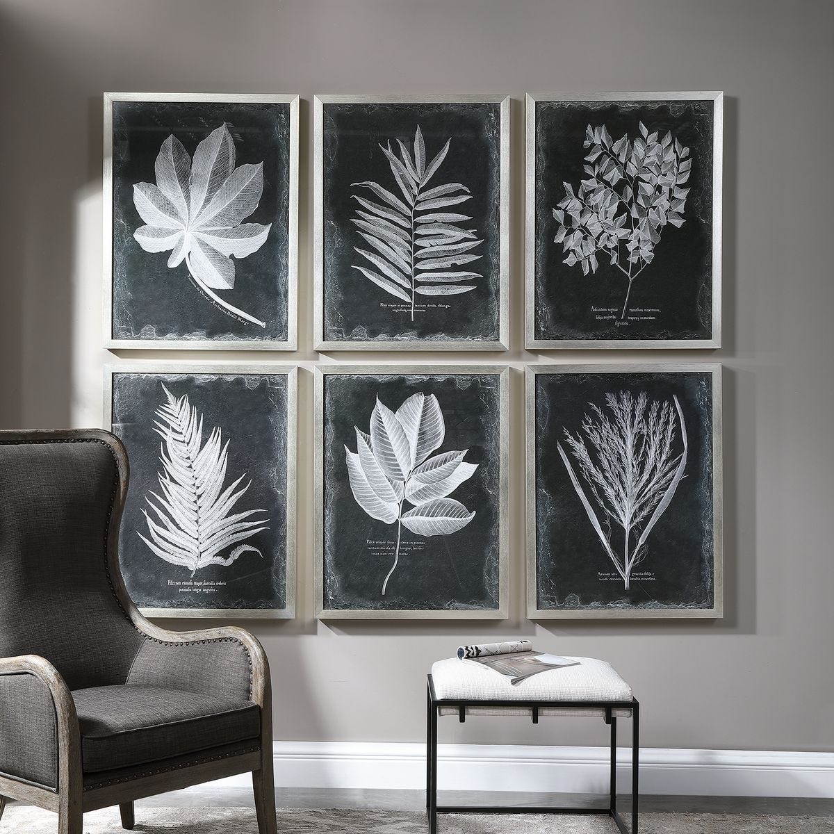 Foliage Framed Prints - Set of 6