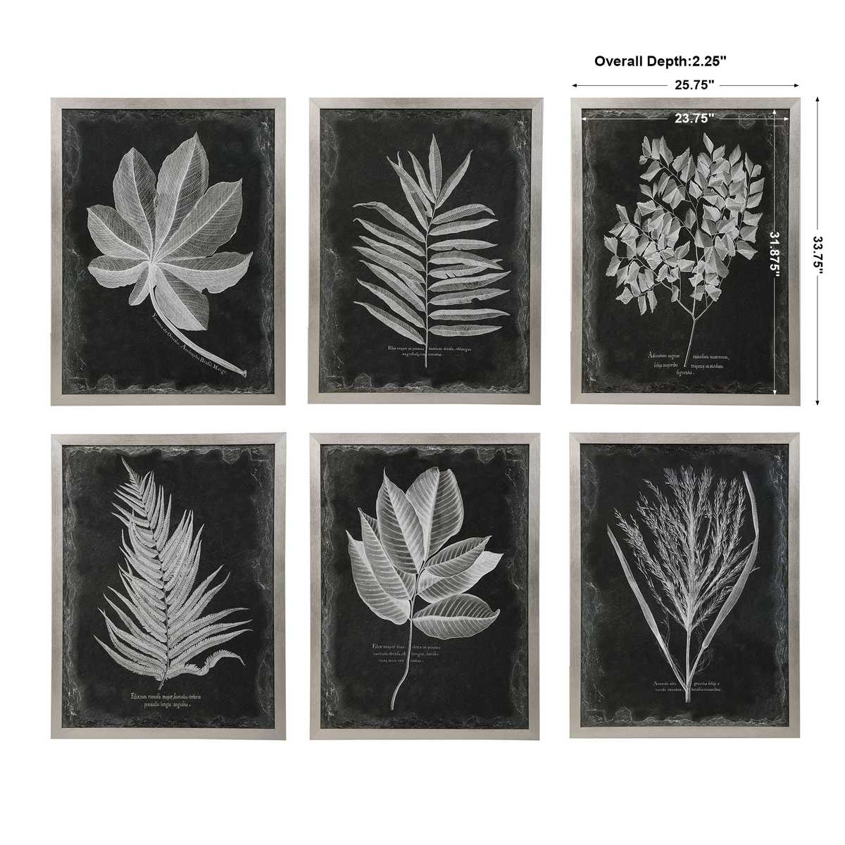 Foliage Framed Prints - Set of 6