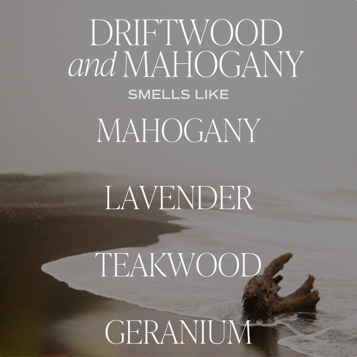 Driftwood and Mahogany 11 oz Soy Candle  OUT OF STOCK